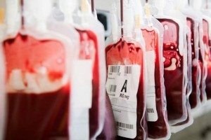 Blood