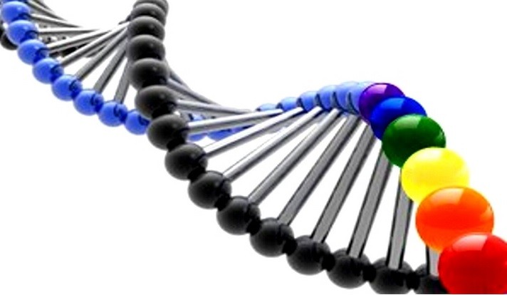 No Gay Gene But Researchers Say Gene Changes Show Who S Gay