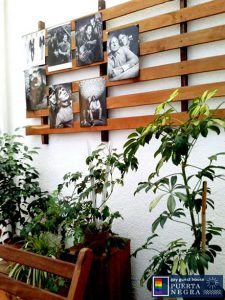 La Puerta Negra Gay Guest House