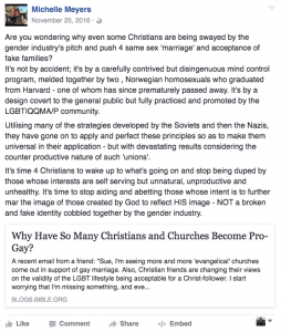 Michelle Meyers' Facebook post comparing LGBT+ people to Nazis
