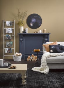 gay-express-home-and-living-resene