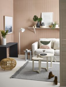 gay-express-home-and-living-resene