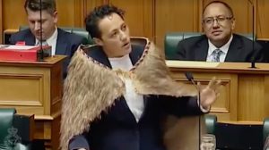Kiri Allan Maiden Speech