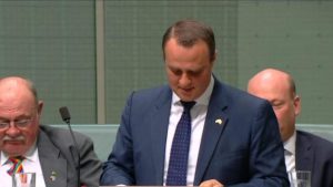 Tim Wilson gay politician marriage proposal express