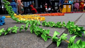 Rainbow Pasefika we exist we belong express wellington