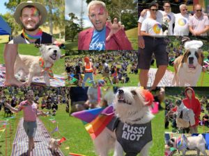 WOOF 2020 MAIN