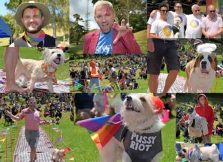 WOOF 2020 MAIN