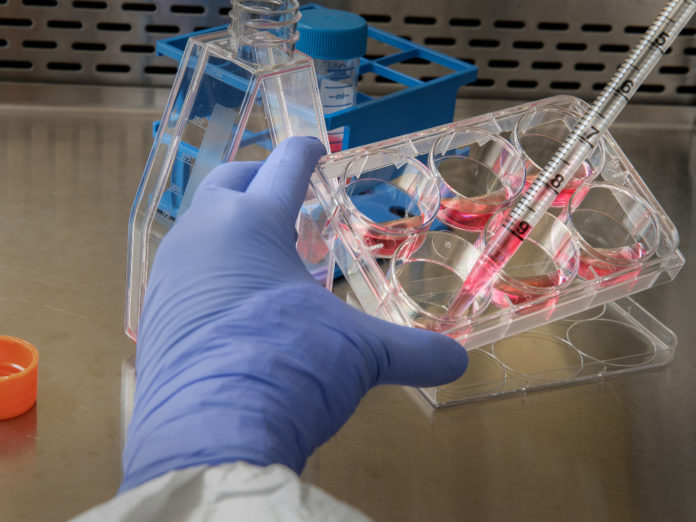 Lab Work Lab Work