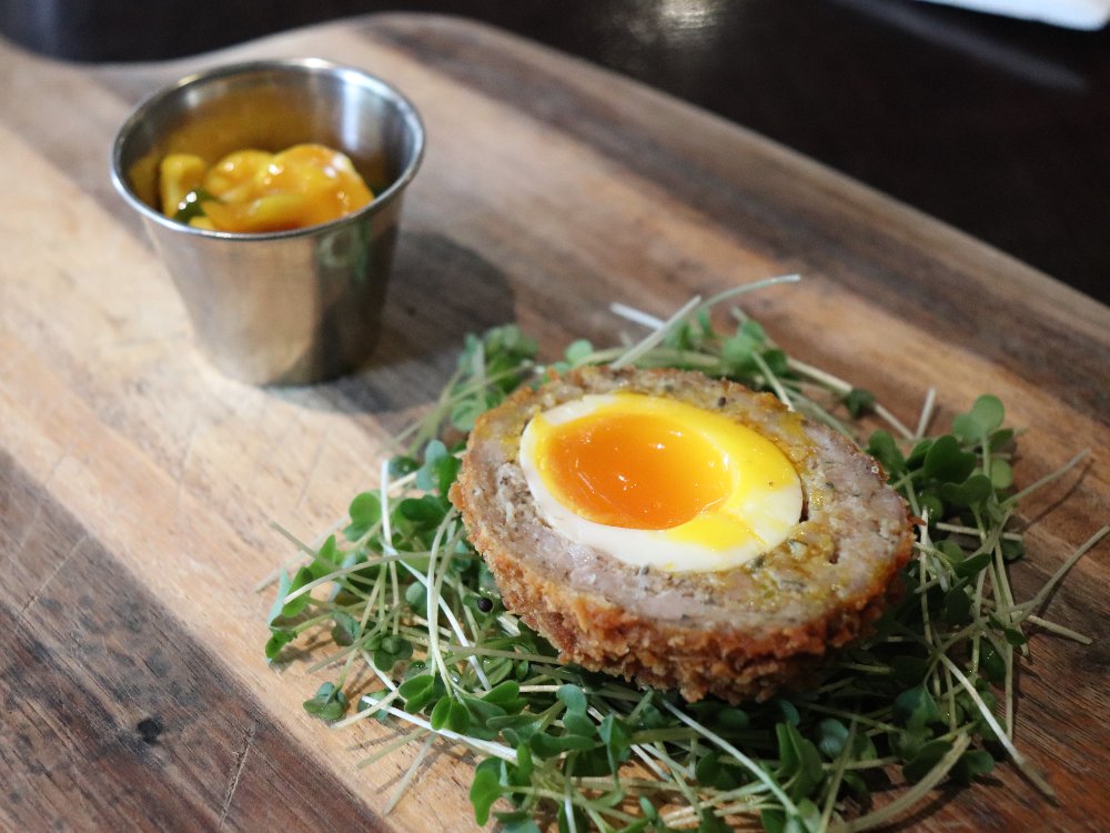 Nova’s Scotch Egg