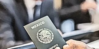 Mexican Passport