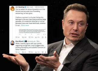 Musk v Rowling
