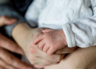 surrogacy